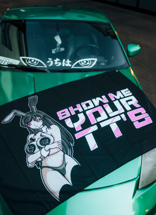 TT's Anime Flag